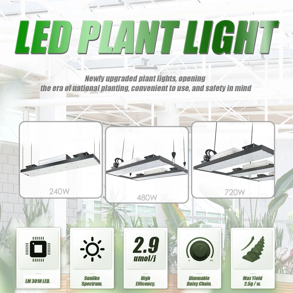 LED Grow Light Growbox Sam-ng LM301H 240W 480W 720W Hydroponics Lamp for plants Grow Tent Greenhouse Lighting Veg and Bloom